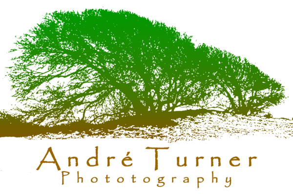 Andre Turner